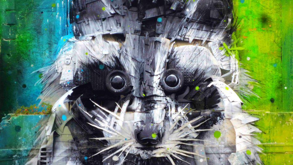 portugal raccoon mural