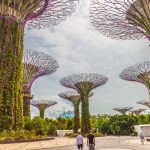 Supertrees: Paragon of sustainable technology and architecture
